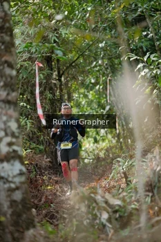 Runner Photo 5262315