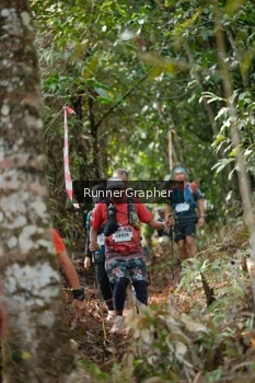 Runner Photo 5262331