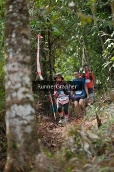 Runner Photo 5262391