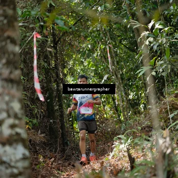 Runner Photo 5262605