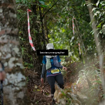 Runner Photo 5262700