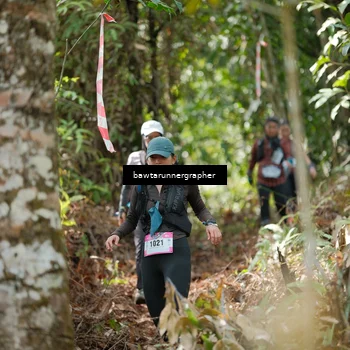 Runner Photo 5262850