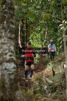 Runner Photo 5262884