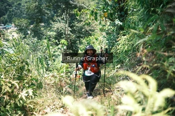 Runner Photo 5262887