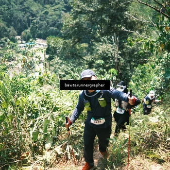 Runner Photo 5262897