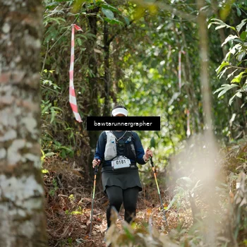 Runner Photo 5262974