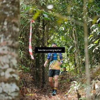 Runner Photo 5263082