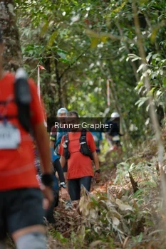 Runner Photo 5263197