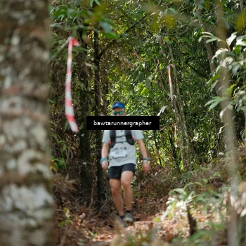 Runner Photo 5263605