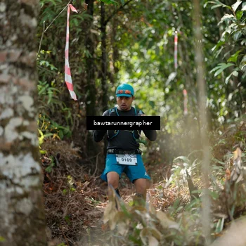 Runner Photo 5263612