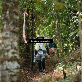Runner Photo 5263637