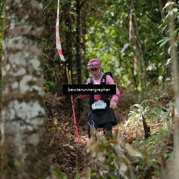 Runner Photo 5263649