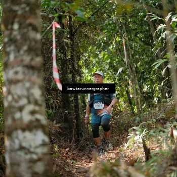 Runner Photo 5263660