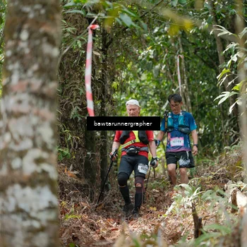 Runner Photo 5263663