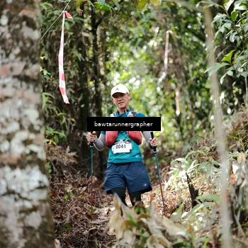 Runner Photo 5263726