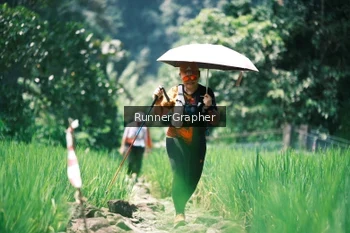 Runner Photo 5263732
