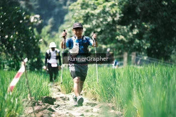 Runner Photo 5263753