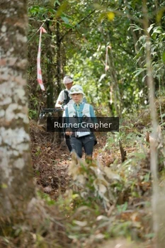 Runner Photo 5263754