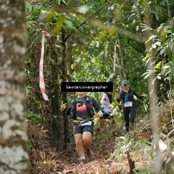 Runner Photo 5263763
