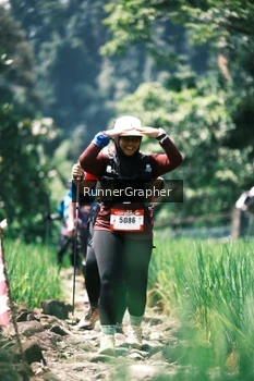 Runner Photo 5263771