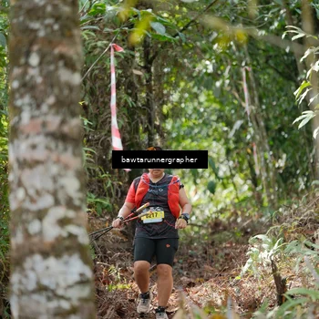 Runner Photo 5263784