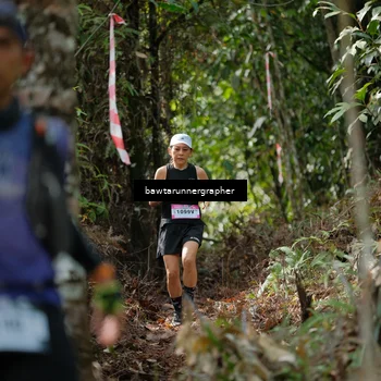 Runner Photo 5263786