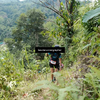 Runner Photo 5263799