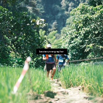 Runner Photo 5263804
