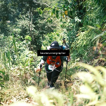 Runner Photo 5263827
