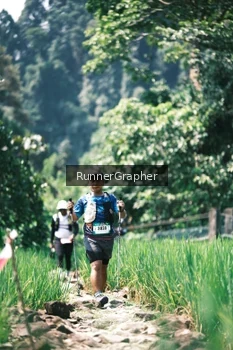 Runner Photo 5263837