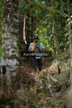 Runner Photo 5263838