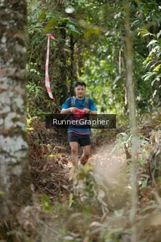 Runner Photo 5263847