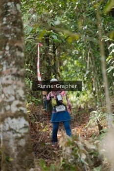 Runner Photo 5263853