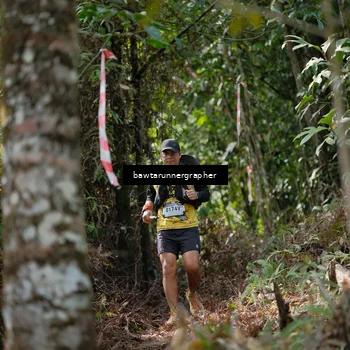 Runner Photo 5263857