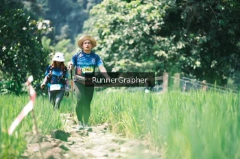 Runner Photo 5263872