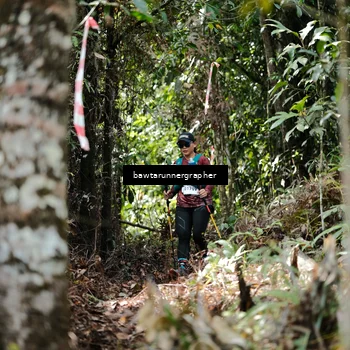 Runner Photo 5263877