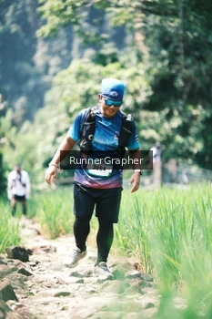 Runner Photo 5263894