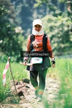 Runner Photo 5263897