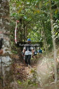 Runner Photo 5263899