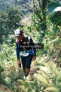 Runner Photo 5263942