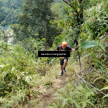Runner Photo 5263948