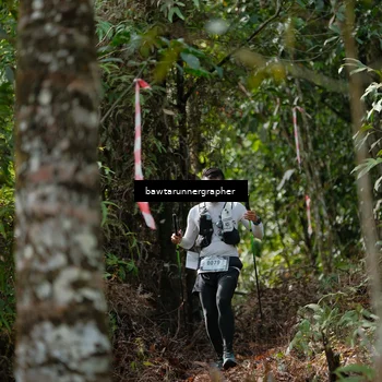 Runner Photo 5263951