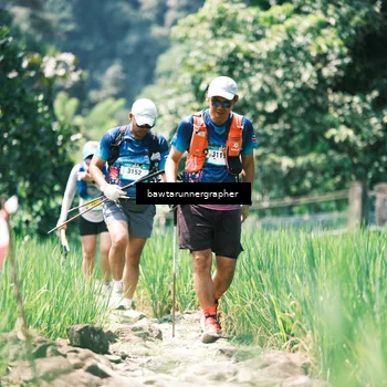 Runner Photo 5263970