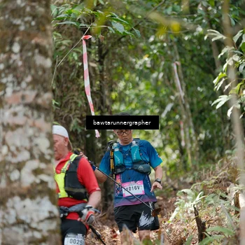 Runner Photo 5263976