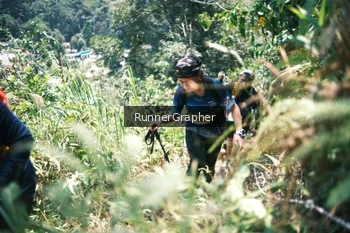 Runner Photo 5264050