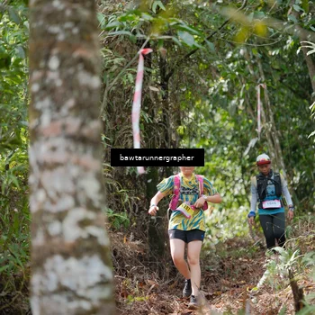 Runner Photo 5264071
