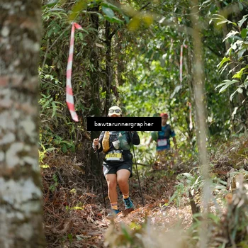 Runner Photo 5264081