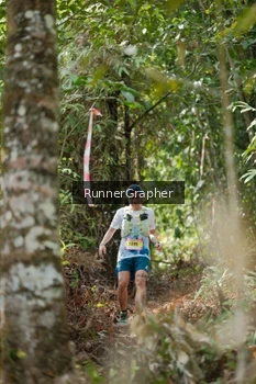 Runner Photo 5264084