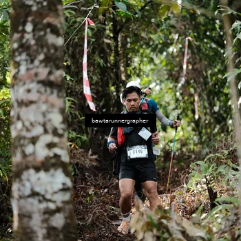 Runner Photo 5264085