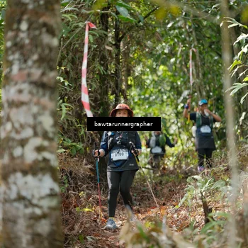 Runner Photo 5264100